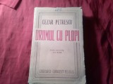 B1s/3. CEZAR PETRESCU -Drumul cu Plopi -Ed. Definitiva 1942 ED. GEORGESCU DELAFRAS ,NUMEROTATA , 307 PAG.