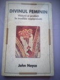 Divinul feminin - Viziuni si profetii in traditia sapientiala - John Noyce