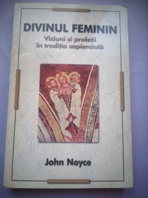 Divinul feminin - Viziuni si profetii in traditia sapientiala - John Noyce foto