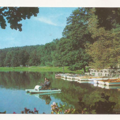 RF11 -Carte Postala- Sibiu, Lacul din Dumbrava, necirculata