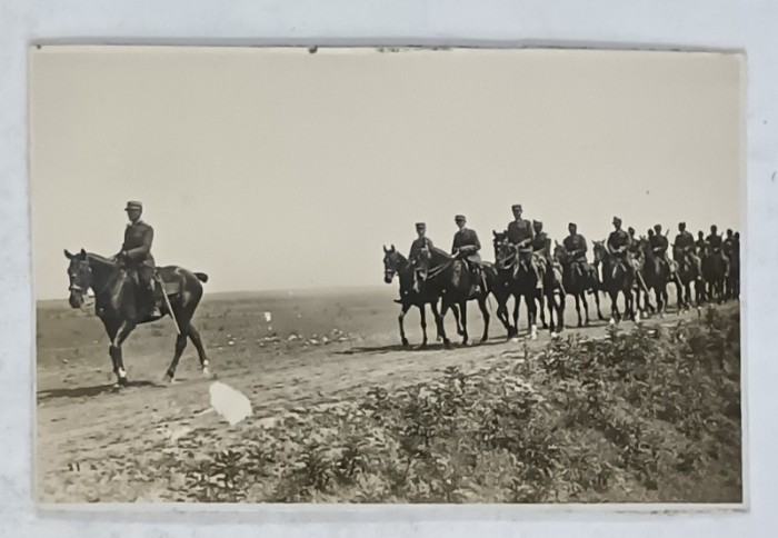 CAVALERISTI ROMANI , IN FORMATIE , CALARE , PE CAMP , CARTE POSTALA , INTERBELICA