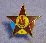 Insigna pionier - RPR - PIONIER STELUTA