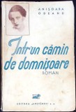 INTR-UN CAMIN DE DOMNISOARE-ANISOARA ODEANU-343126