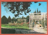 AS - C.P. TIMIȘOARA, PARCUL TRANDAFIRILOR, CIRCULATĂ (STAREA CARE SE VEDE)