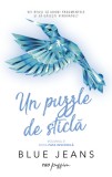 Un puzzle de sticla. Seria Fata invizibila Vol.2 - Blue Jeans