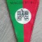 M3 C7B - Tematica diverse - turism - Germania - Magdeburg