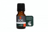 Ulei Esential Pin (Pinus sylvestris) 100% Organic Ecocert, 10ml, Soil