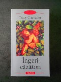 TRACY CHEVALIER - INGERI CAZATORI (Biblioteca Polirom)