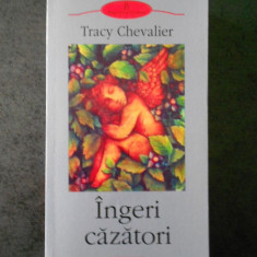 TRACY CHEVALIER - INGERI CAZATORI (Biblioteca Polirom)