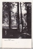 bnk cp Sinaia - Casa de creatie Foisorul - necirculata