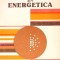 FIABILITATEA IN ENERGETICA-V.I. NITU, C. IONESCU-293422