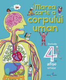Marea carte a corpului uman - Grupul All