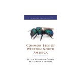 Common Bees of Western North America