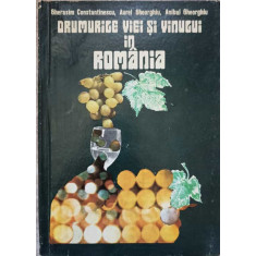 DRUMURILE VIEI SI VINULUI IN ROMANIA-GHERASIM CONSTANTINESCU, AUREL GHEORGHIU, ANIBAL GHEORGHIU