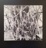 Dan Grigorescu - In Delta Dunarii, ed. Meridiane, 1967