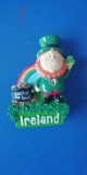 D4 - Magnet frigider - tematica turism - Irlanda - 1