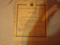 diploma subinginer agronom dela roman an 1949 semnat ministrul agriculturii x19 foto