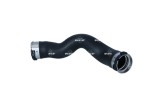 NRF 166077 Furtun ear supraalimentare