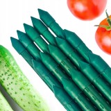 Arac Sustinere Plante 150cm x 16mm, Otel Invelit Plastic Verde, Suport Gradina, Sera, Flori, Legume, Cataratoare, ProCart