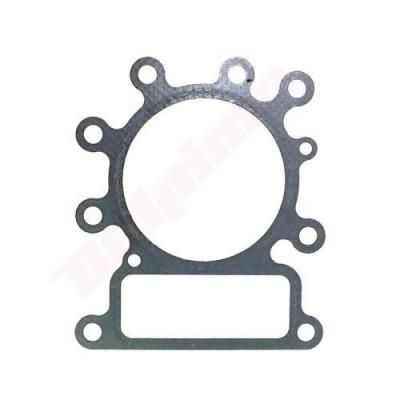 Garnitura de chiuloasa motor Briggs &amp;amp;amp; Stratton (272614, 273280) foto