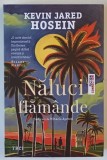 NALUCI FLAMANDE , roman de KEVIN JARED HOSEIN , 2025