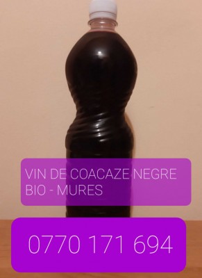 Vin din coacaze negre bio foto