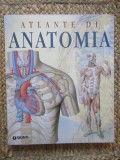 Atlante di anatomia - Adriana Rigutti