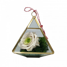 Trandafir criogenat alb Rose Amor piramida sticla martisor 15 cm foto