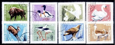 C1129 - Romania 1968 - Fauna 8v..stampilat,serie completa foto