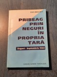Pribeag prin neguri in propria tara Dan Dragnea