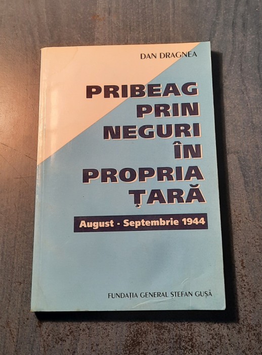 Pribeag prin neguri in propria tara Dan Dragnea