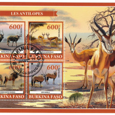 BURKINA FASO 2019 - Antilope /set complet - colita + bloc