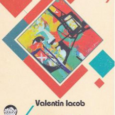 Poetul la Stalingrad - Valentin Iacob