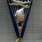 AX 891 INSIGNA-PARASUTIST EXCELENT-URSS-PARASIOTIST OTLISNIK-PENTRU COLECTIONARI