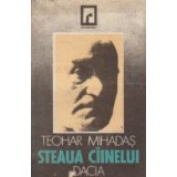 Steaua ciinelui