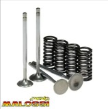 Set supape + arcuri Malossi - Aprilia Scarabeo - Gilera Runner VX-VXR - Piaggio Beverly - X9 - Vespa GTS 4T 125-250-300cc (set 4 supape)