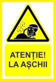 Placuta atentie la aschii