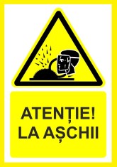 Placuta atentie la aschii foto
