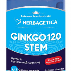 Ginkgo 120+ Stem, 60 capsule, Herbagetica