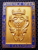 II.014 INSIGNA SANITARA SCUOLA INFERMIERE E INFERMIERI GENERICI ODDO CASAGRANDI