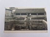 Sibiu- Baile Mercurea Bai- Photografie din jurul anilor 1920-1930, Necirculata, Fotografie