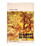 George Lesnea - Ulcioare de piatra - versuri - 103183