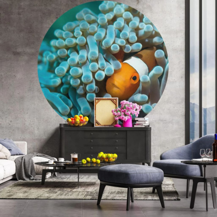 WallArt Tapet &icirc;n forma de cerc &bdquo;Nemo the Anemonefish&rdquo;, 142,5 cm GartenMobel Dekor