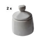 Set 2 cutii pentru condimente, 270 ml, Alb