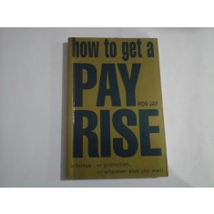 HOW TO GET A PAY RISE - ROS JAY