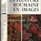 La Peinture Roumaine En Images - Vasile Dragut, Vasile Florea, Dan Grigorescu