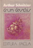 Arthur Schnitzler - Drum deschis