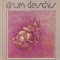 Arthur Schnitzler - Drum deschis