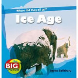 Ice Age (The Big Picture)