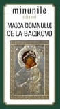 Minunile icoanei Maica Domnului de la Bacikovo - Sophia
